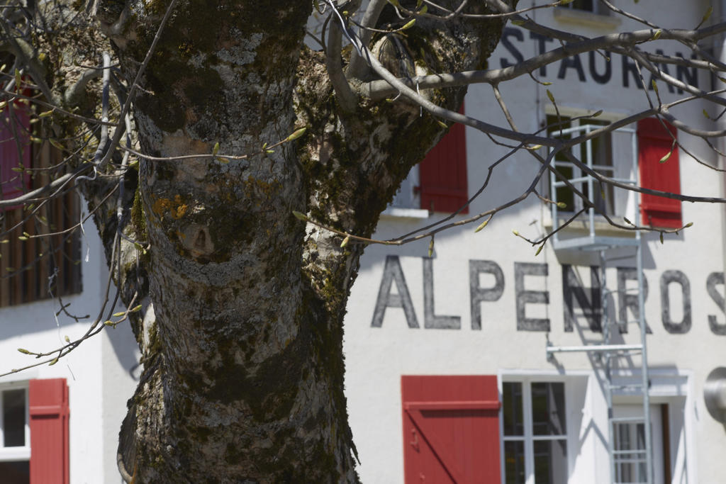 Alpenrose Gadmen - Gasthaus Экстерьер фото