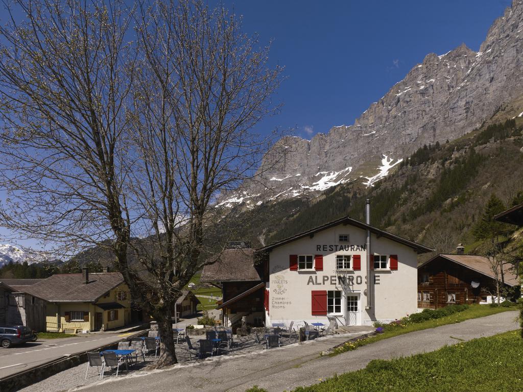 Alpenrose Gadmen - Gasthaus Экстерьер фото